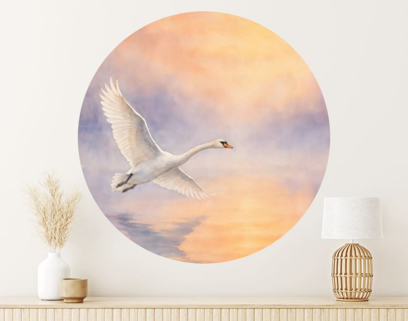 Witte zwaan in vlucht boven water bij zonsopkomst