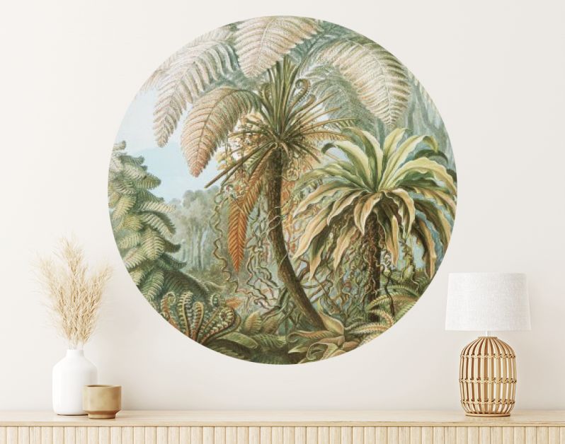 Filicinae–Laubfarne