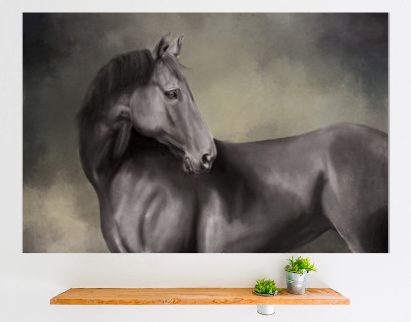 portret van een paard