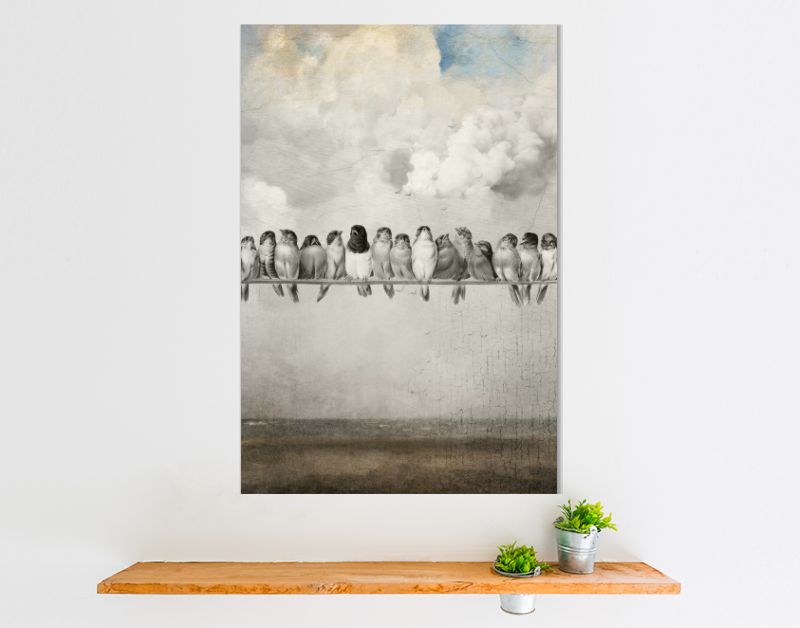 All the Pretty Birds