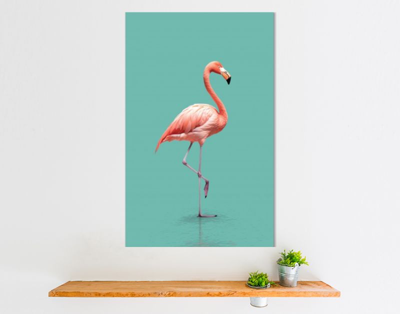 Pink Flamingo