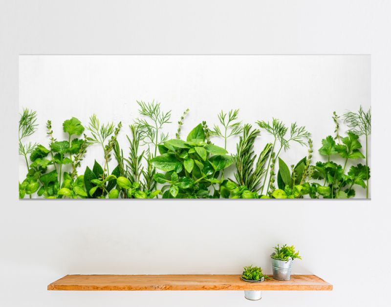 Various fresh herbs arranged in a frame. Cooking concept with spices garden herbs. Healthy food.Top view.