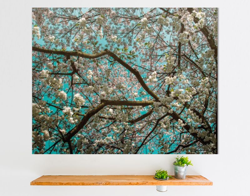 Bloesemboom in ode aan van Gogh