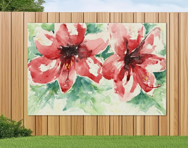 Grote rode amaryllis bloemen