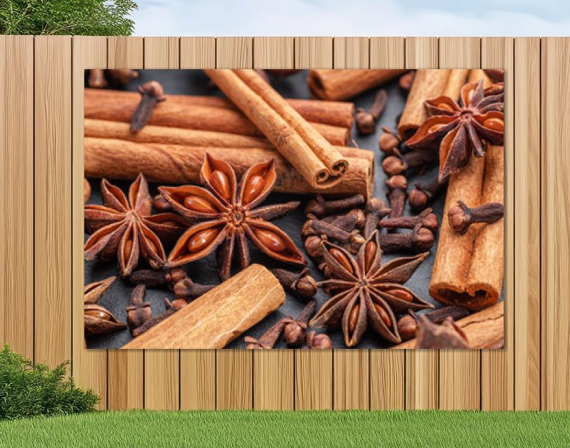 Lots of three spices for mulled wine – star anise, cinnamon and clove, macro.