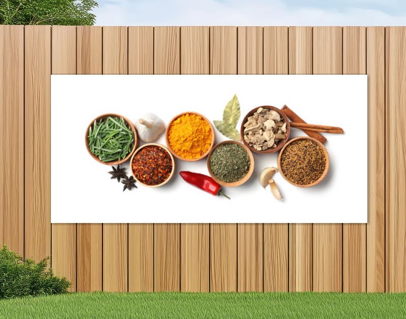 Beautiful composition with different aromatic spices on white background