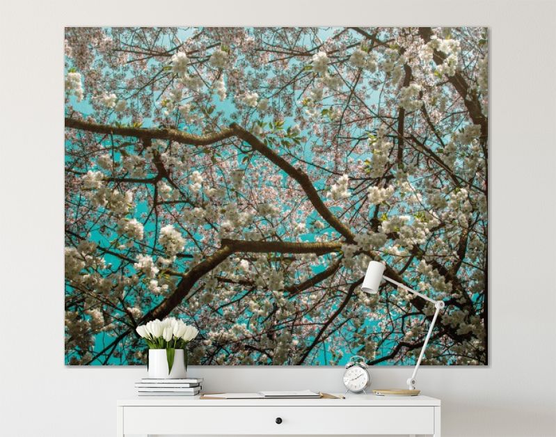 Bloesemboom in ode aan van Gogh