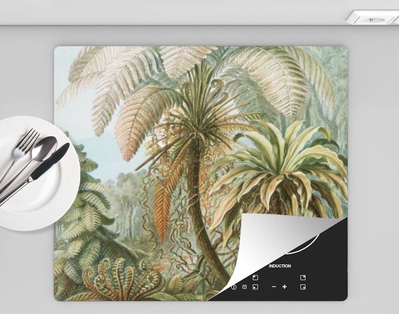 Filicinae–Laubfarne