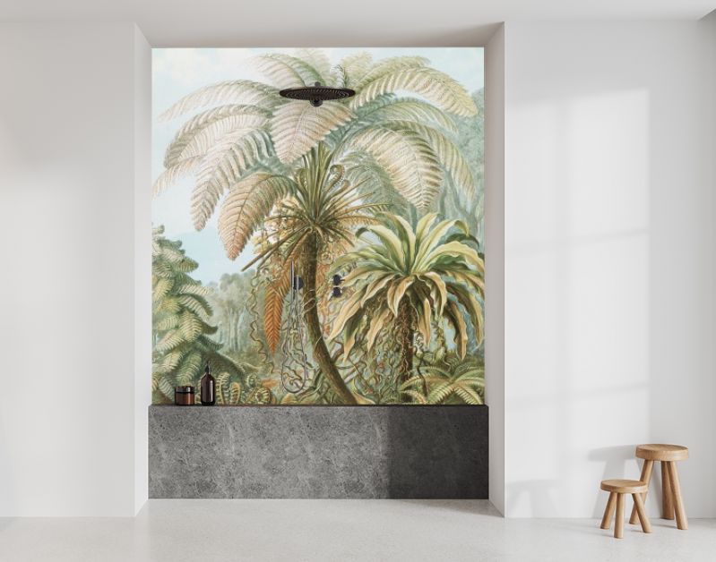 Filicinae–Laubfarne