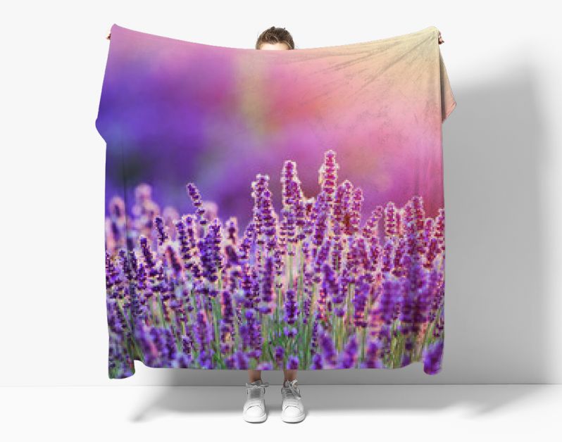 Levender flowers on the field at sunset.