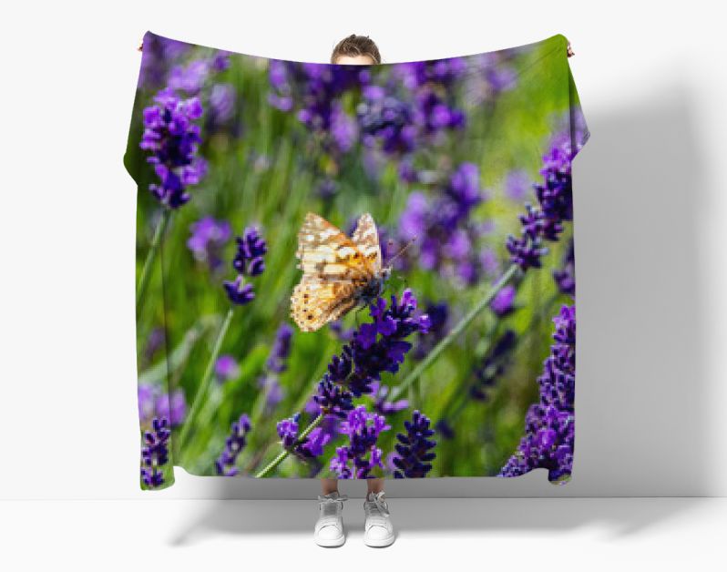 Lavender flowers, Closeup view of a butterfly on a lavender blossom in spring