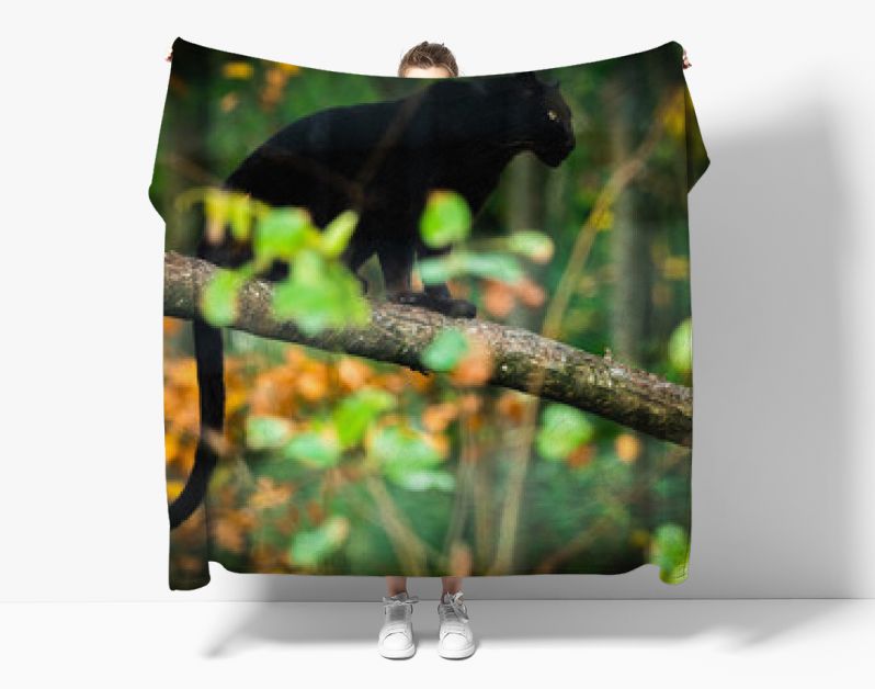 Zwarte panter op de boom in de jungle