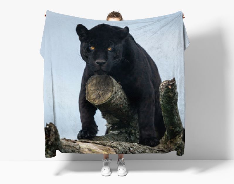 Portret van een zwarte jaguar in het bos