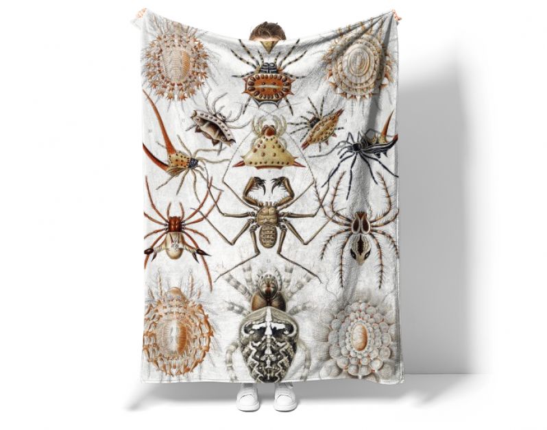 Arachnida–Spinnentiere