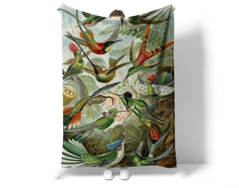 Hummingbirds trochilidae - Ernst Haeckel