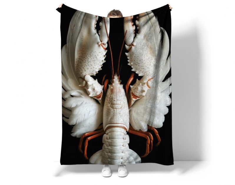 Lobster swan feathers