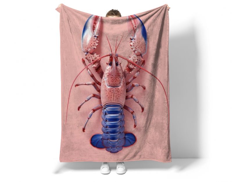 Pink and blue lobster